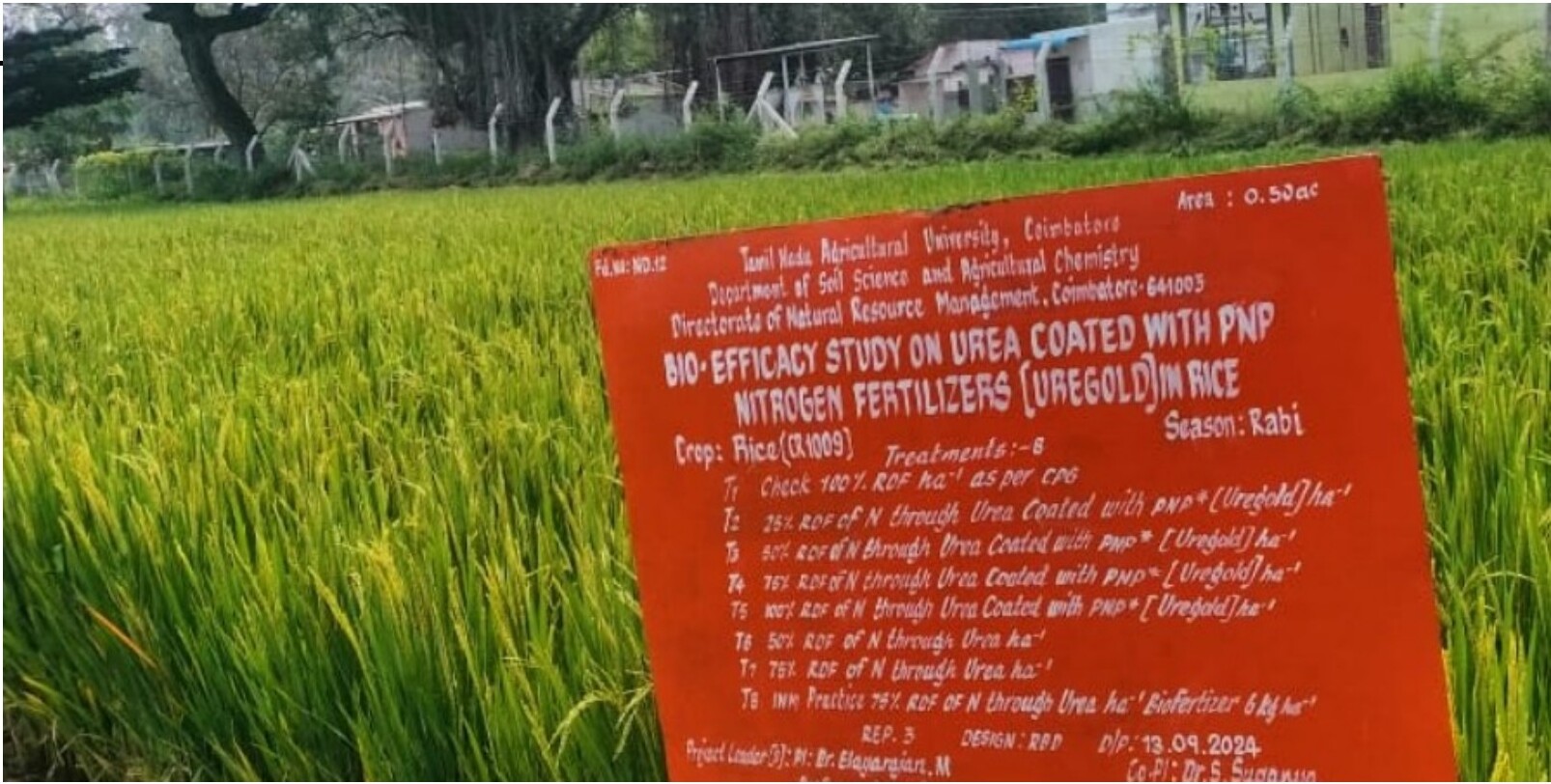 Bio-efficacy field study on Urea Coated with PNP (UREGOLD) in rice — TNAU trial signboard in a green paddy